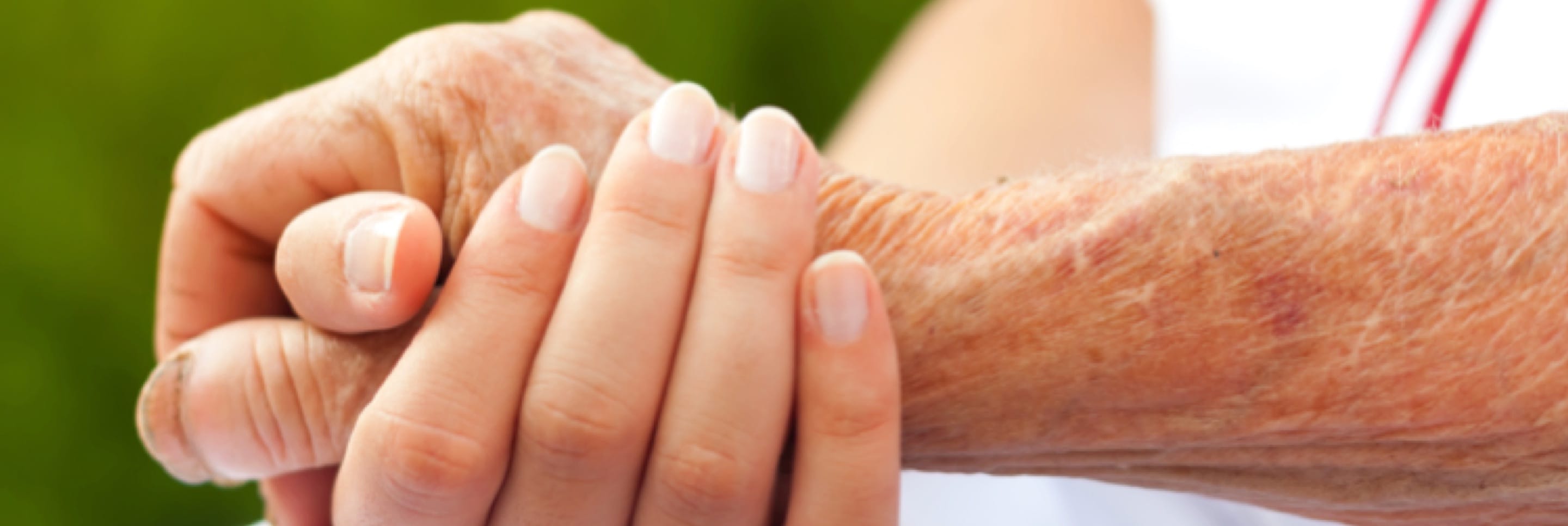 , Blogs, Care24, Care24