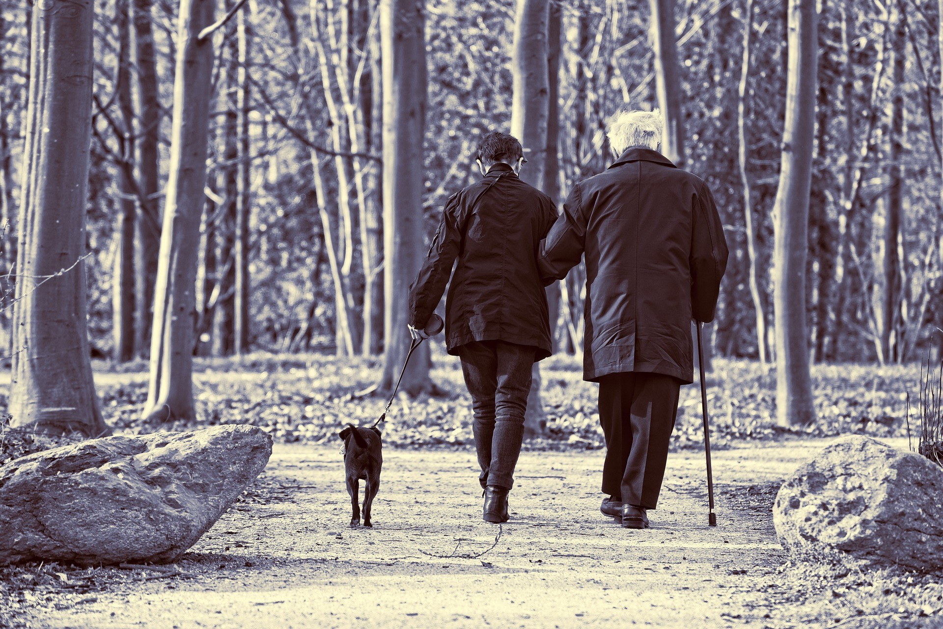 , Blogs, Care24, Care24