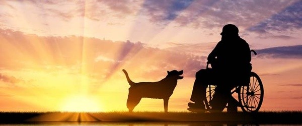 Paralysis Recovery